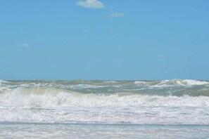 Beach nearby - Tranquility Waterfront Villa Pool Dock (Punta Gorda)