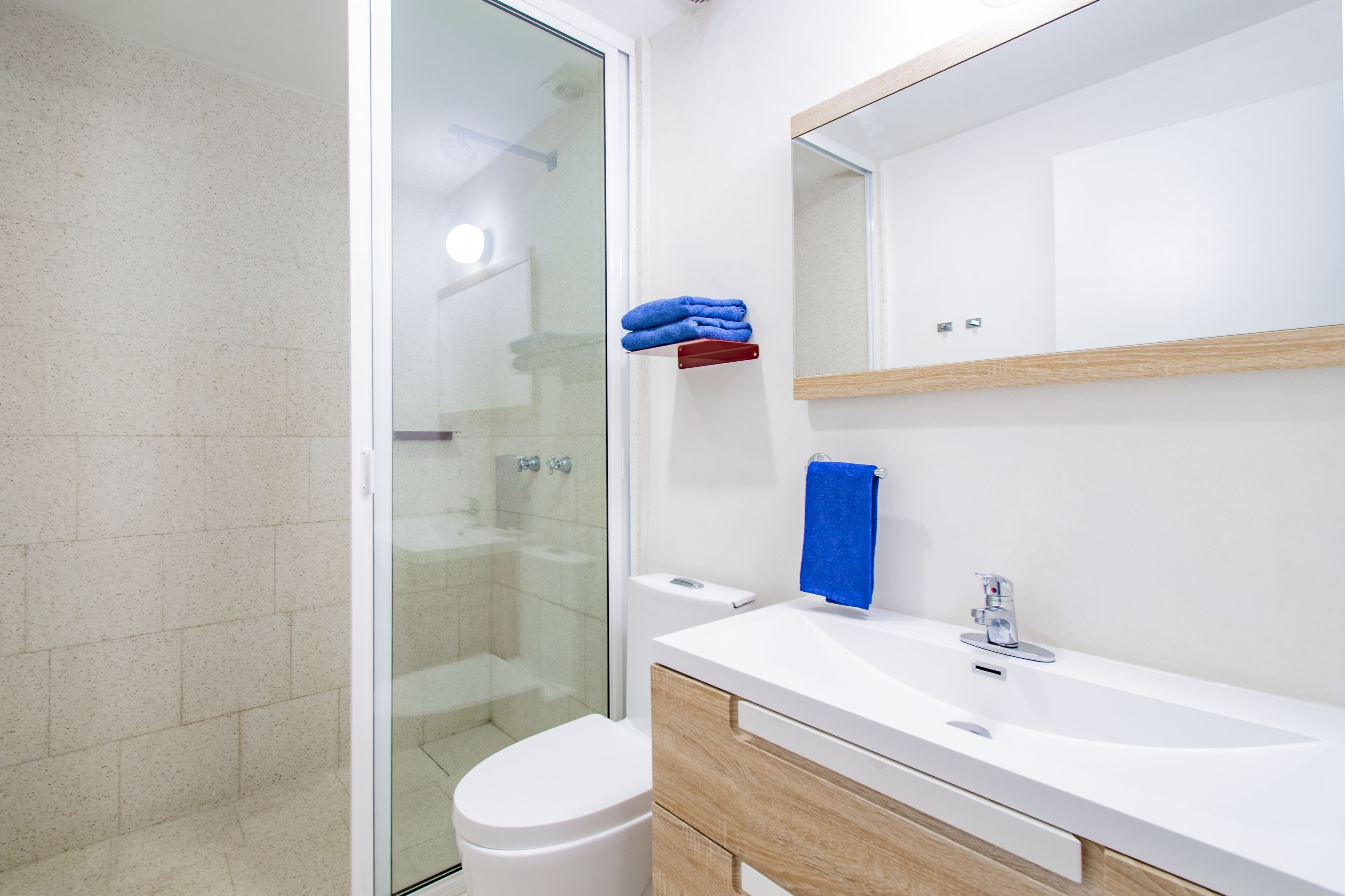 Deluxe Apartment | Bathroom | Shower, towels, shampoo, toilet paper
