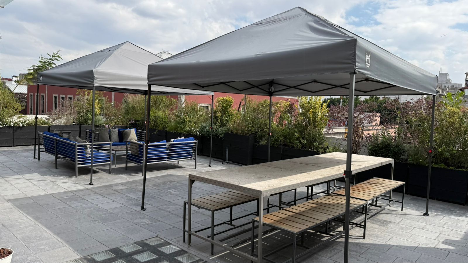 Deluxe Apartment | Terrace/patio