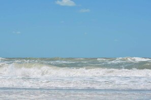 Beach nearby - Hibiscus|Heated Pool • Private Dock • Bikes • Kayaks • Walk to Fishermen’s Village (Punta Gorda)