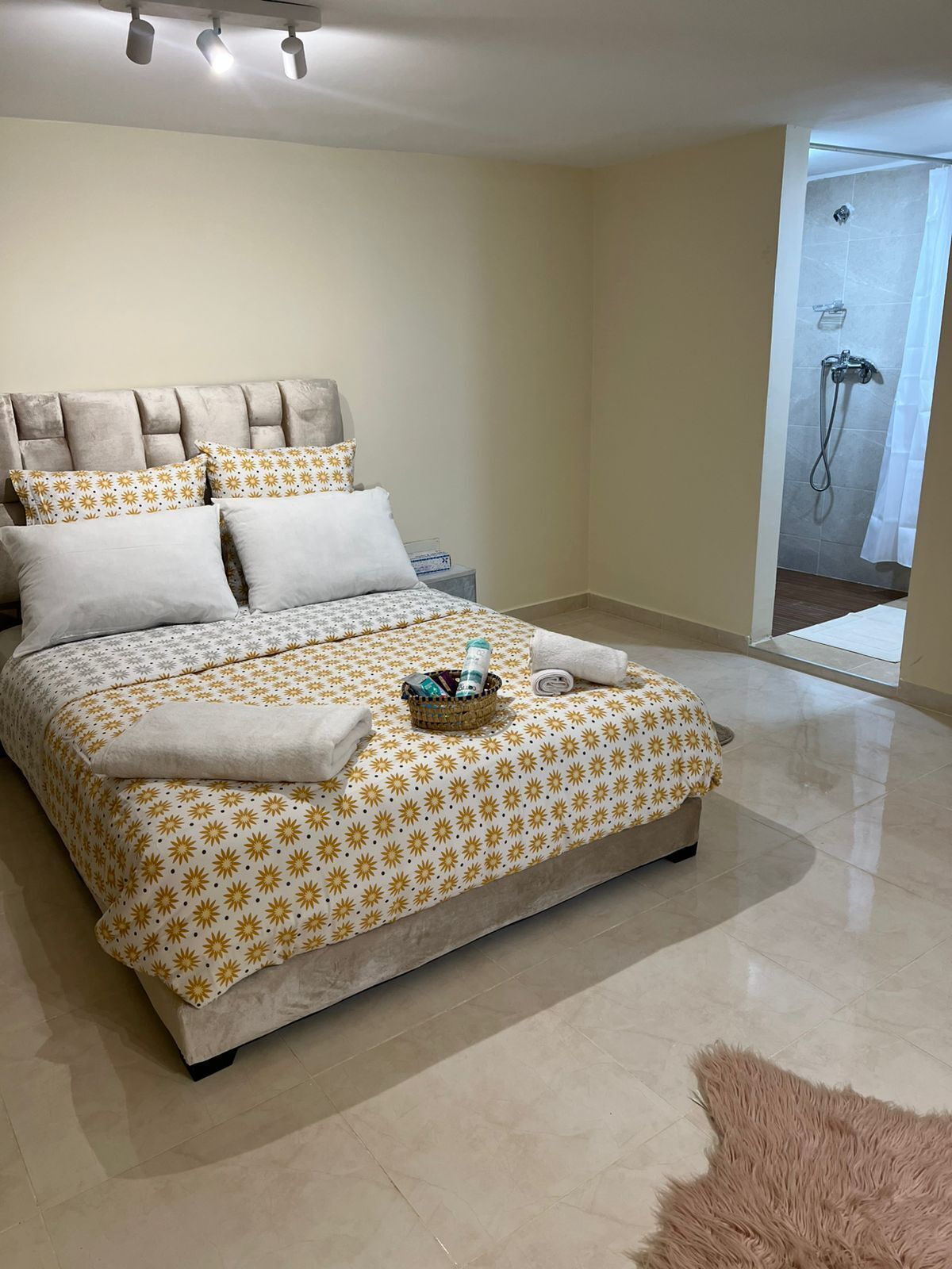 Iron/ironing board, Internet, bed sheets