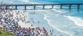 Cozy 1st Floor Apartment w/ BBQ & Pet-Friendly