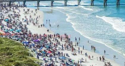 Cozy 1st Floor Apartment w/ BBQ & Pet-Friendly