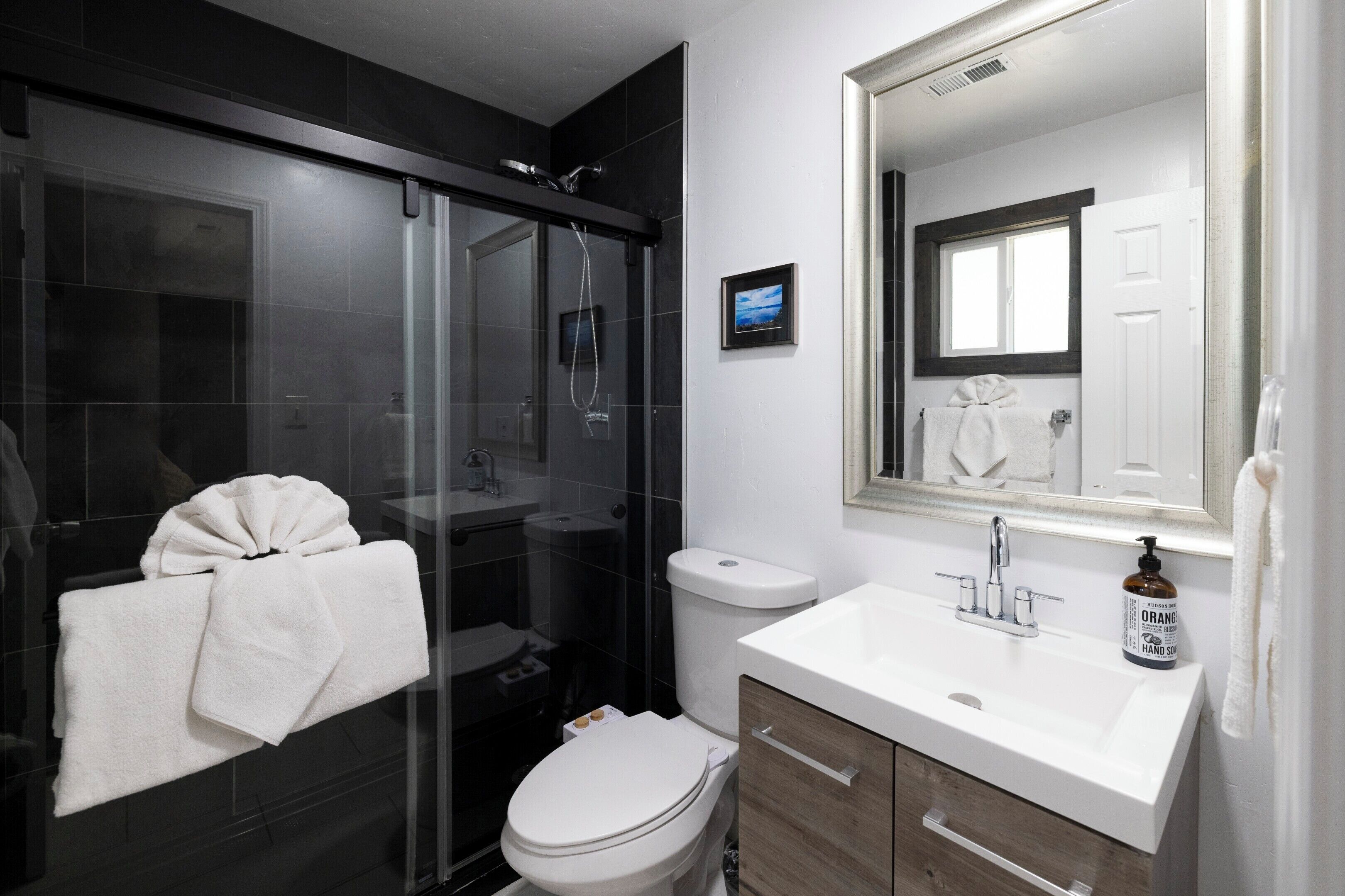 Shower, bidet, towels, soap