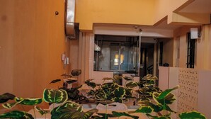 A hotel room with a large window, a sink, and several potted plants. - Desert Sky Hotel (Isiolo)