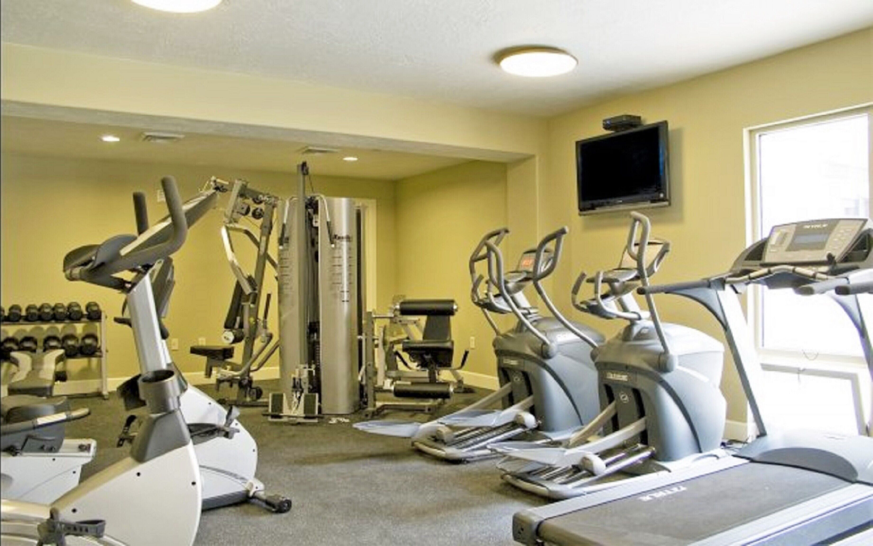 A gym with treadmills, elliptical machines, and weight machines.