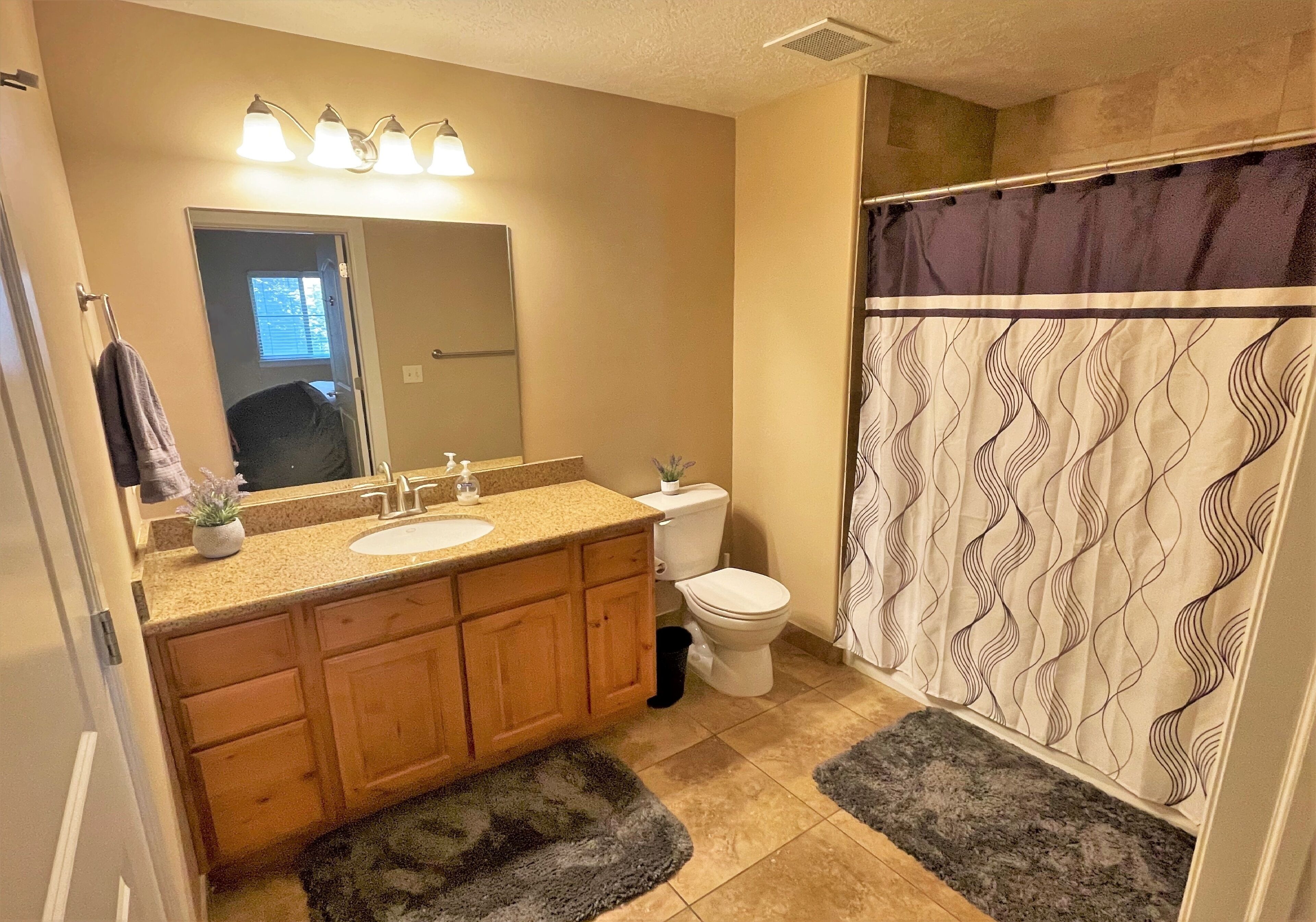 A bathroom with a sink, mirror, vanity, toilet, and shower curtain.