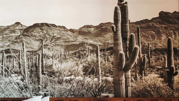 Un dormitorio con un mural al estilo del desierto, cabecera de madera y una lámpara de noche.