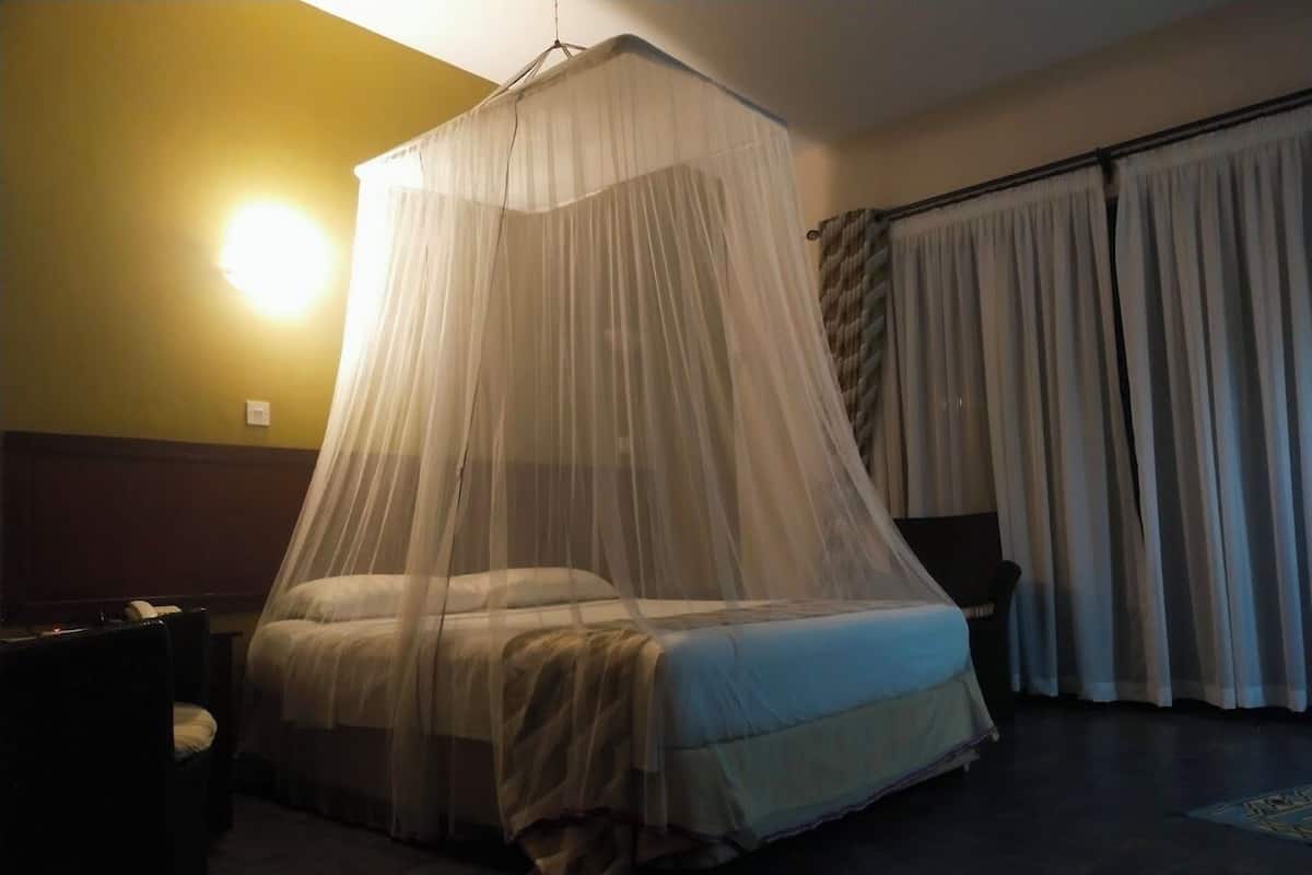 A room with a bed under a canopy, a bedside table, and a wall-mounted lamp.