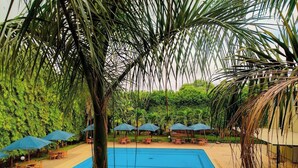 Hồ bơi