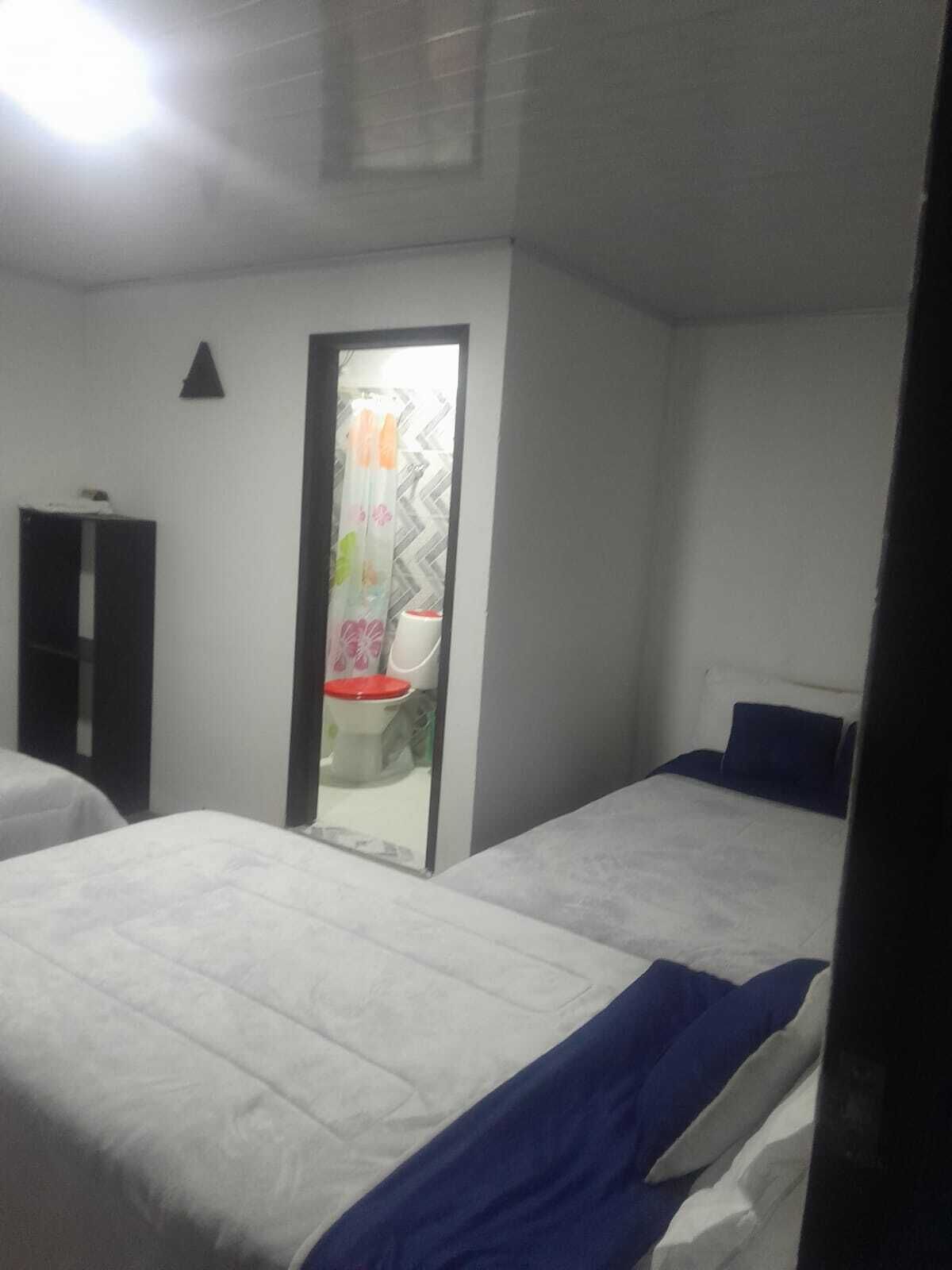 A bedroom with two beds, a wardrobe, and a bathroom visible through a mirror.