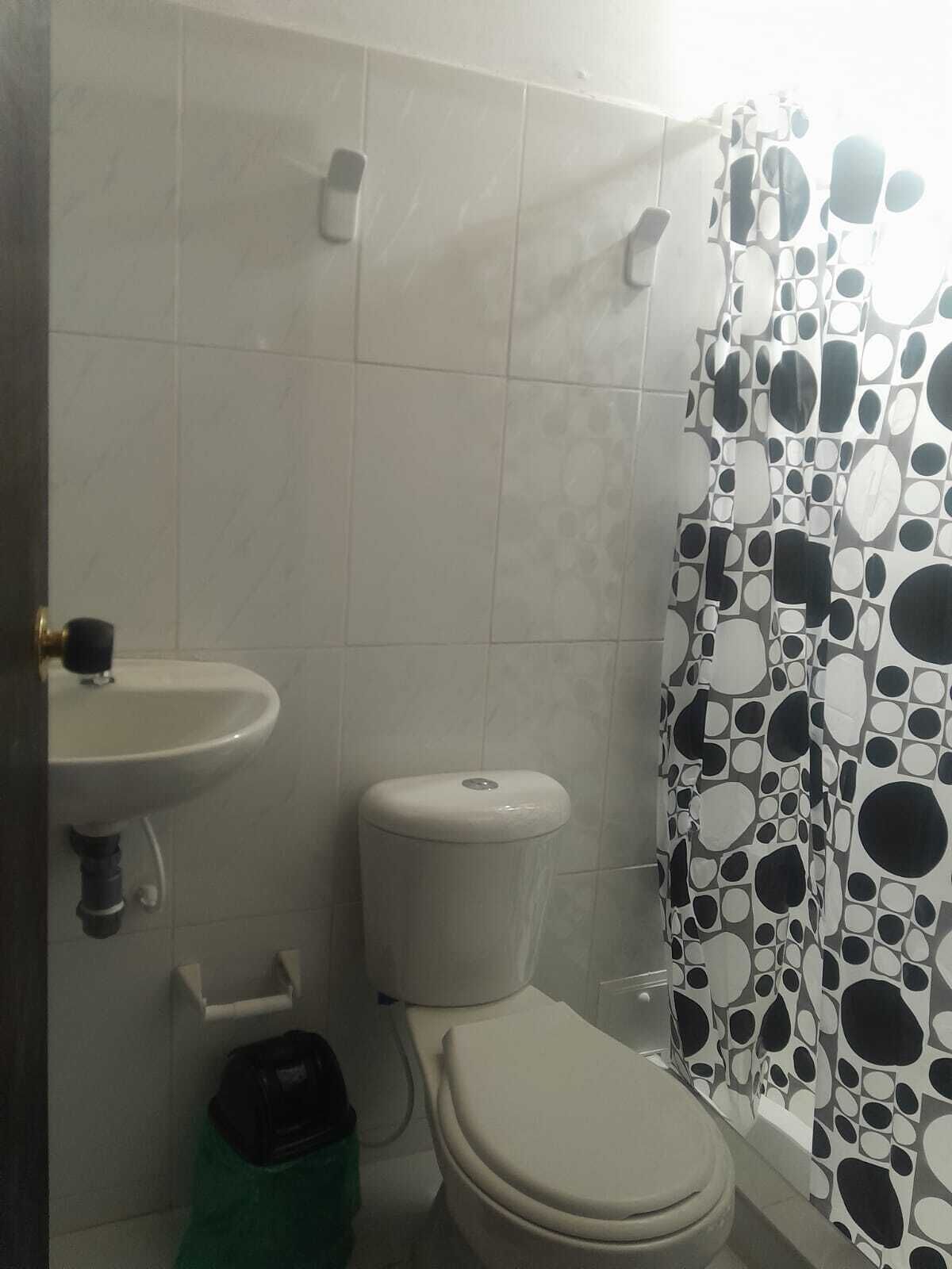 A bathroom with a toilet, sink, and shower curtain.