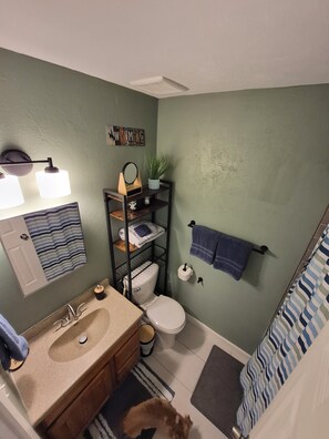 Toallas y papel higiénico