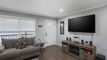 Televisión y libros