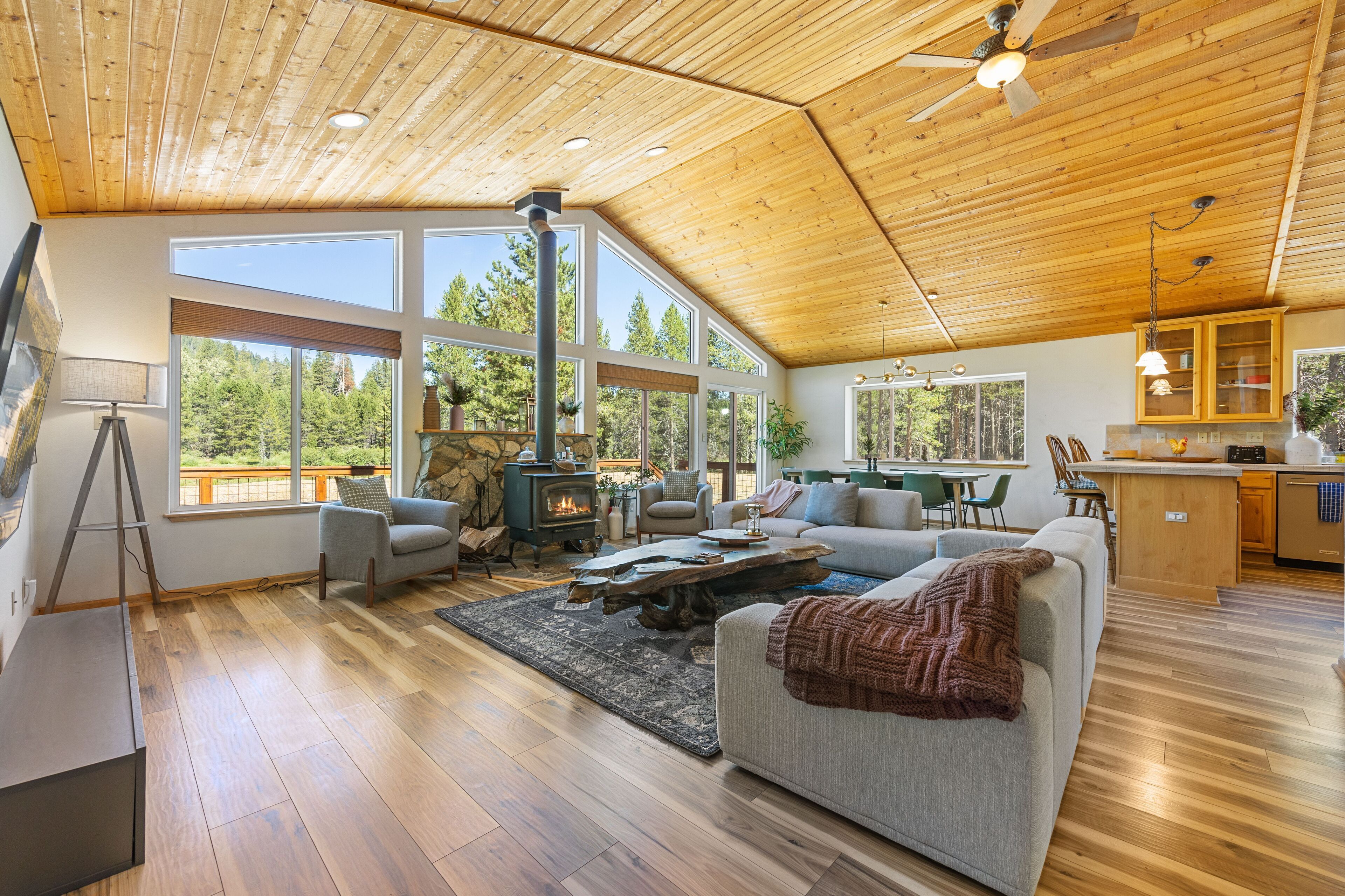 Televisión, chimenea y libros 