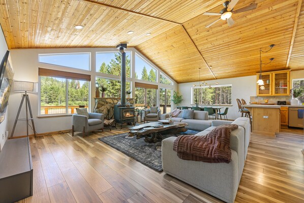 TV, fireplace, books