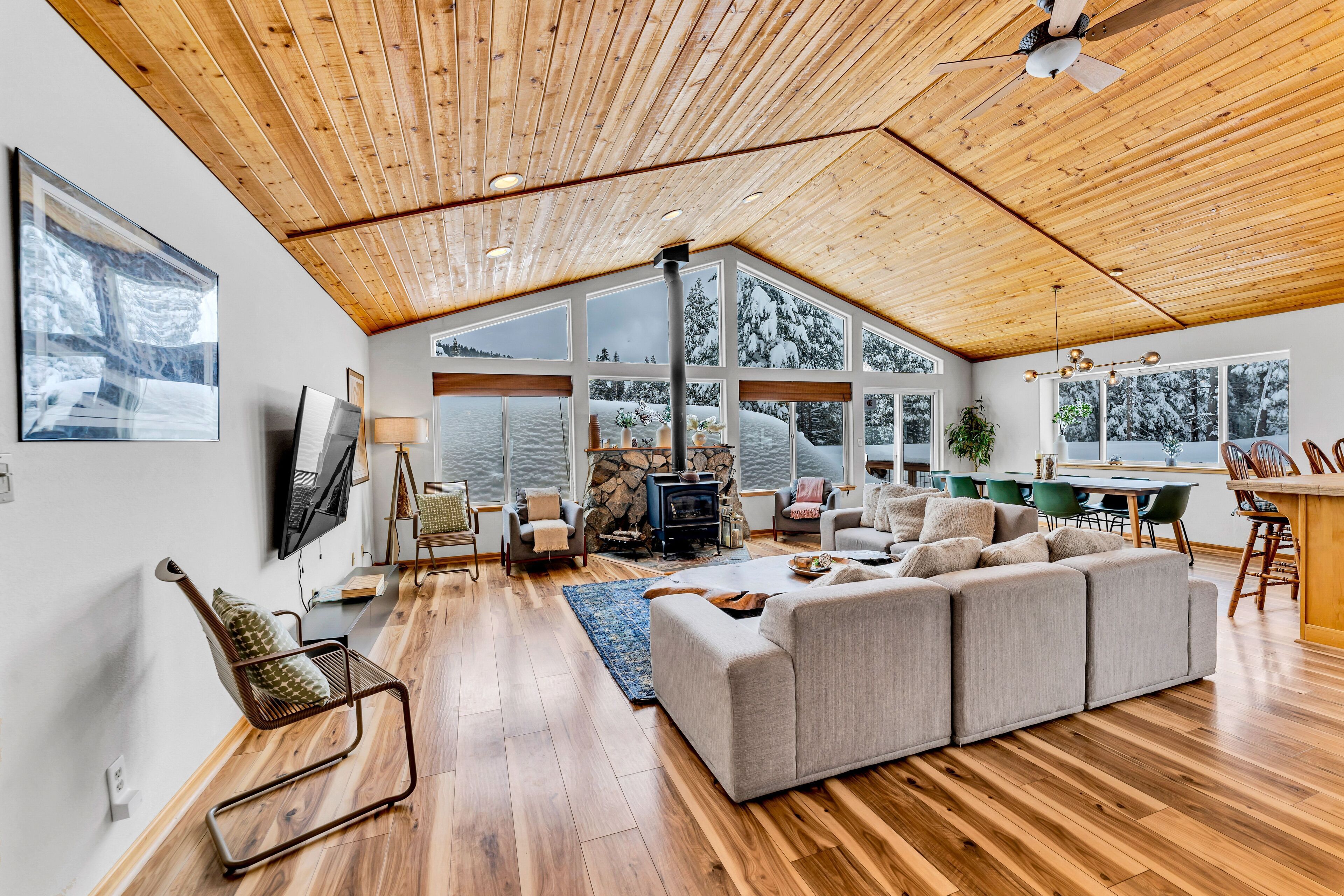 TV, fireplace, books