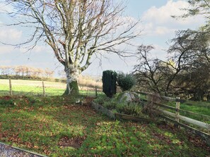 Property grounds - 1 FRON UCHAF, pet friendly, with open fire in Bala (Bala)