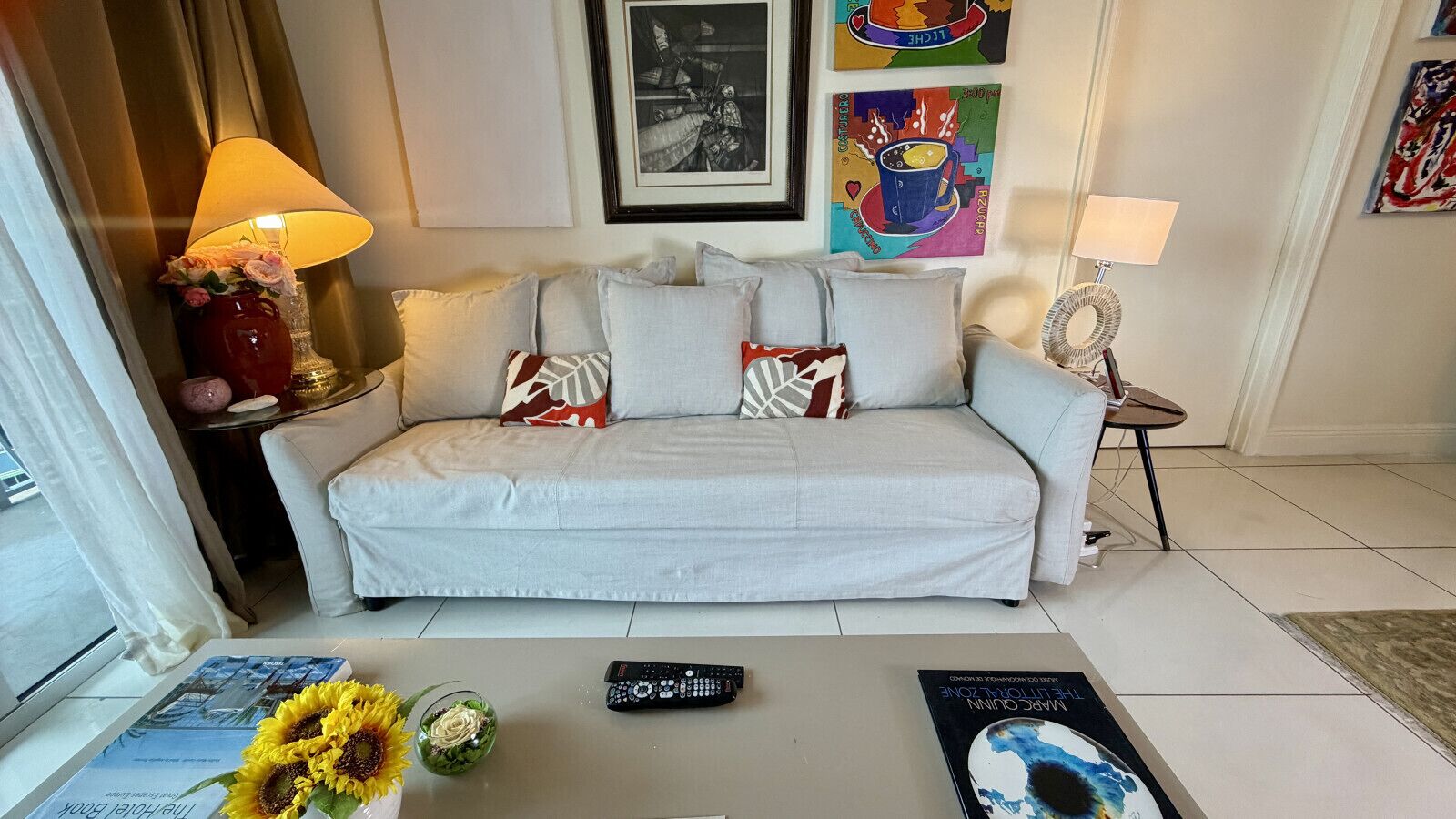 Televisión y libros 