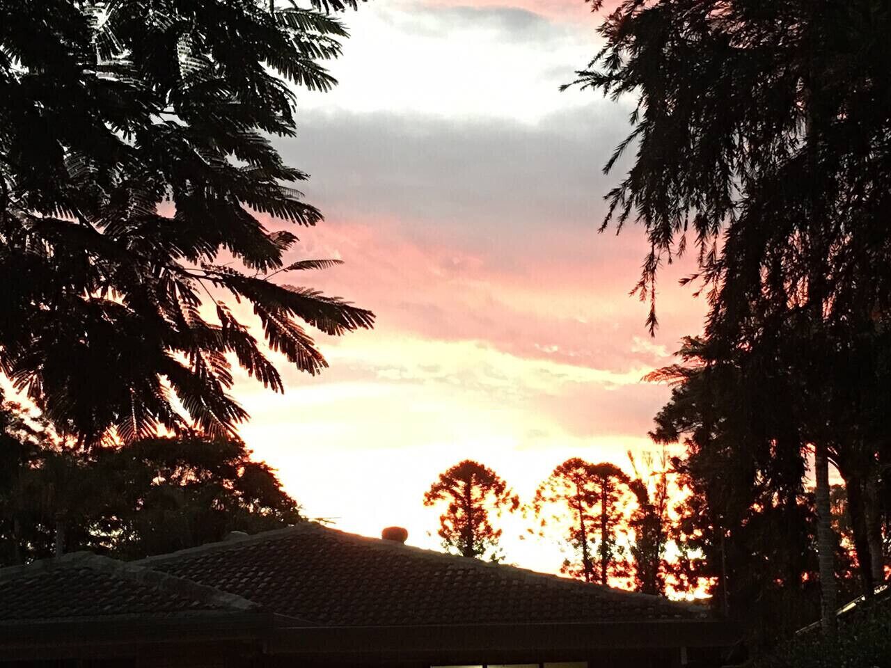 A sunset view with silhouettes of trees and a tiled roof.