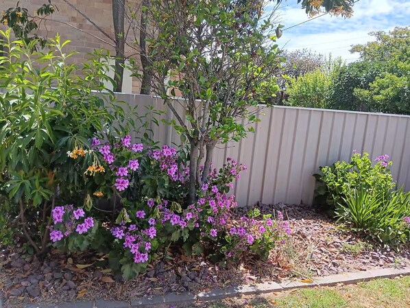 المنطقة المحيطة بالمنشأة