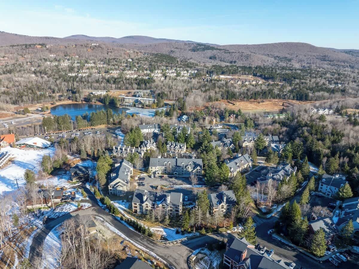 A residential area with houses, a lake, and mountains in the background.
