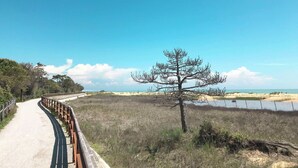 Un chemin pavé longe un plan d’eau, avec un arbre au premier plan et une clôture d’un côté.