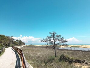 A paved pathway with a wooden fence on one side, leading to a beach area with a clear sky and a single tree in the foreground. - Lovely apartment for 4 people with WIFI, A/C, TV, terrace and pets allowed (San Michele Al Tagliamento)