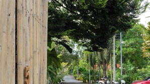 A narrow road flanked by lush greenery and parked scooters. - Bamboo house (Tambon Choeng Thale)