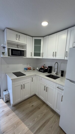 Microwave, stovetop, coffee/tea maker, toaster - Perfect terrace to relax, have a coffee or enjoy the Florida weather. (Tampa)