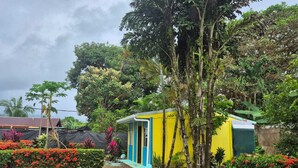 Une petite maison colorée, entourée d’une végétation luxuriante et de plantes en fleurs.