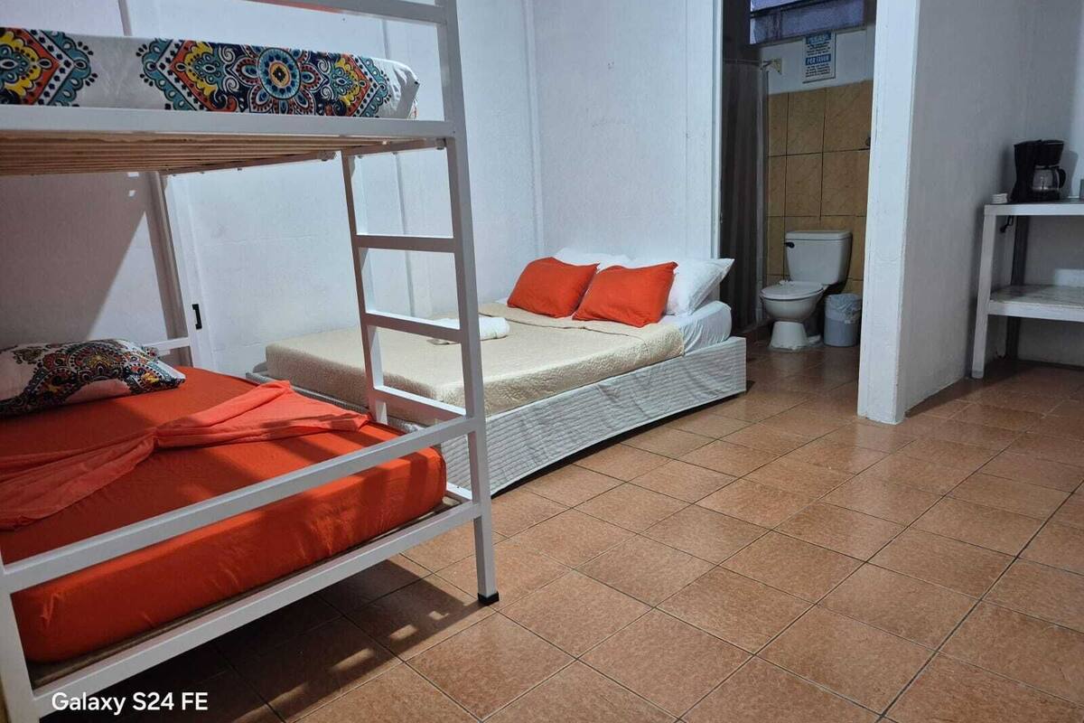 A dormitory room with bunk beds, a single bed, a toilet, and a coffee machine.