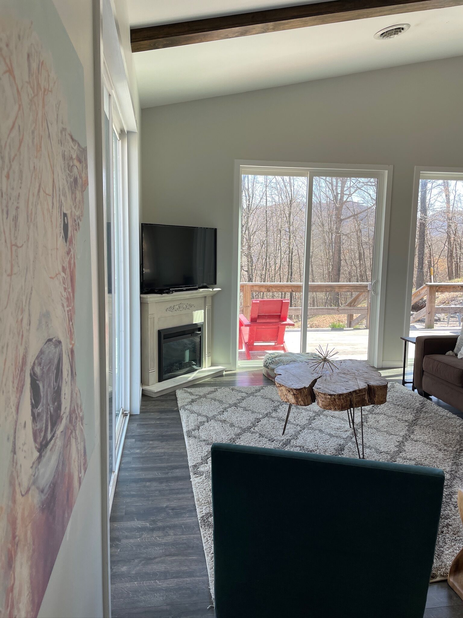 Smart TV, fireplace, DVD player, books