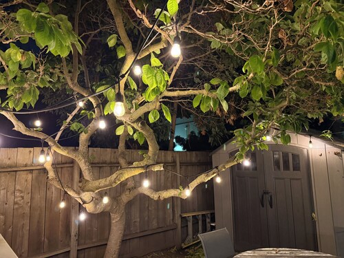 Private-entry 2B1B  Near Meta & Stanford Safe Neighborhood  Newly Listed