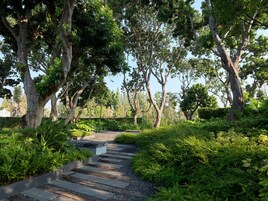 Un sendero serpentea por un jardín exuberante, lleno de árboles y follaje denso.