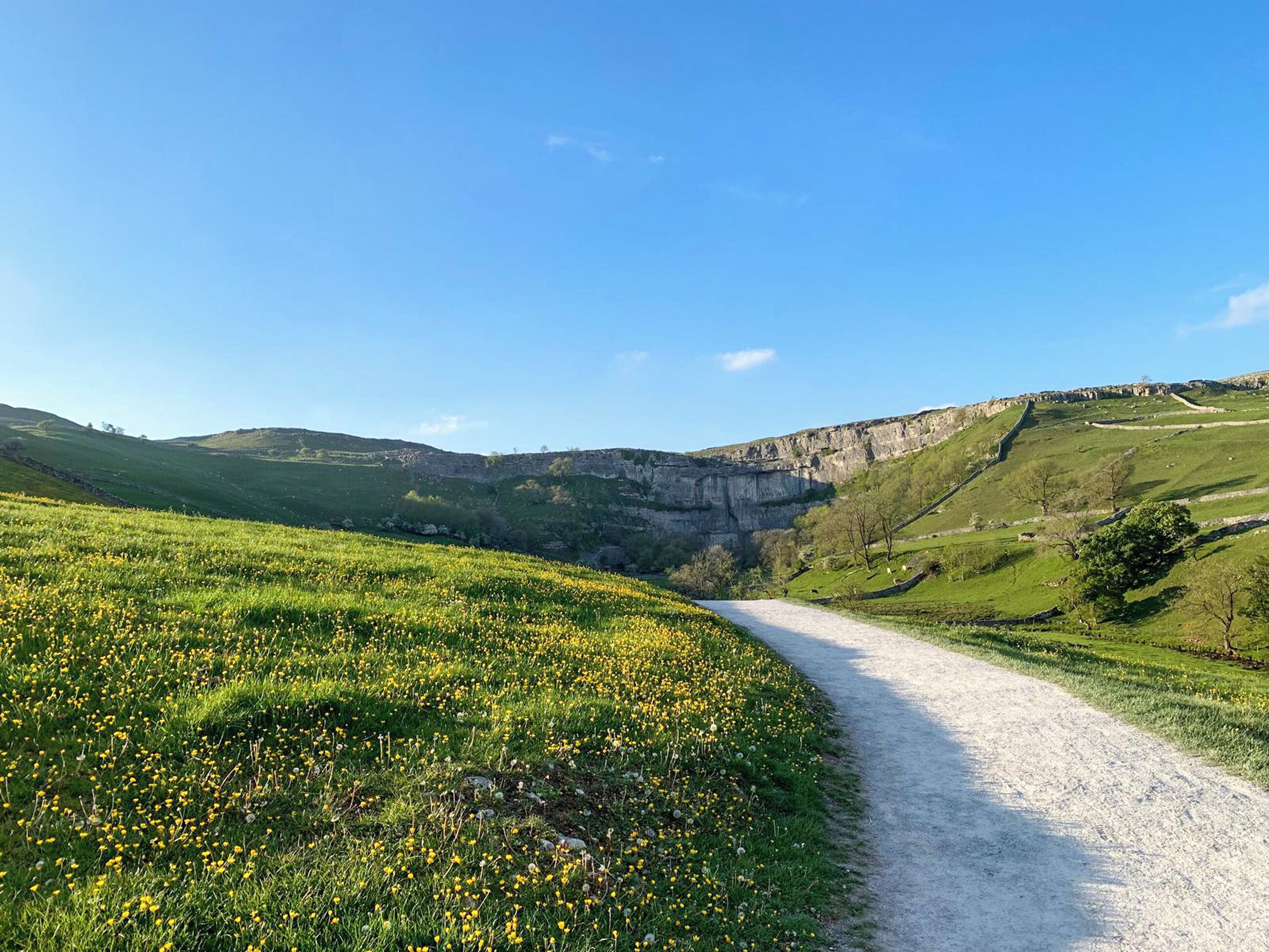 A rural landscape with a dirt path, green fields, and a cliff.