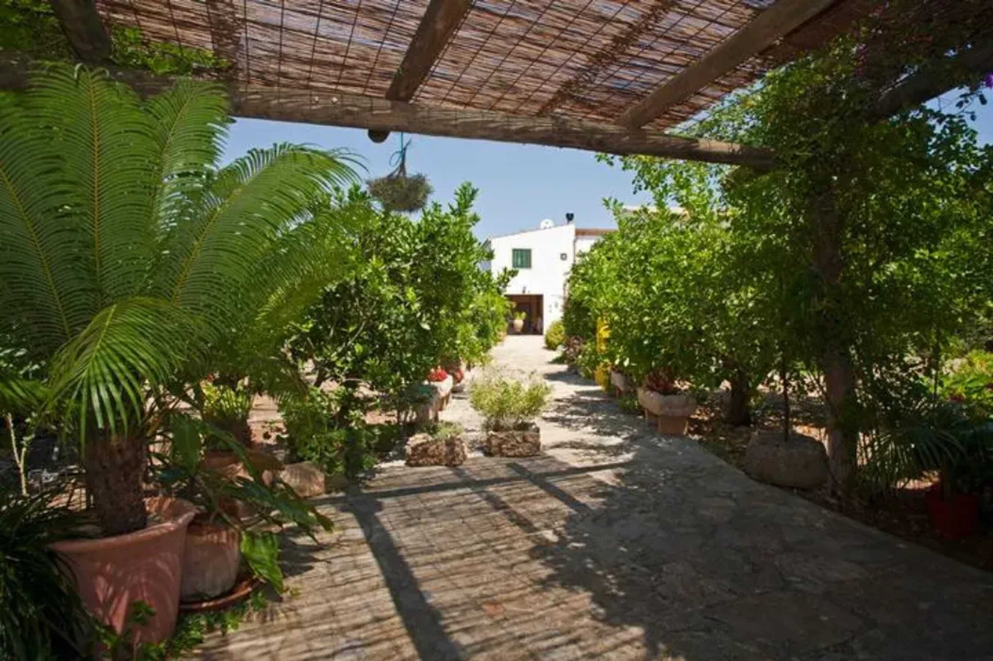 Terrein van de accommodatie