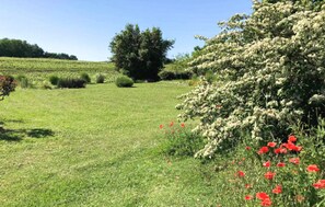 المنطقة المحيطة بالمنشأة