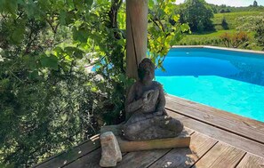 Pool - Beautiful home in Mombrier (Mombrier)