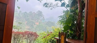 Ella Hide Forest Cottage