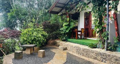 Ella Hide Forest Cottage