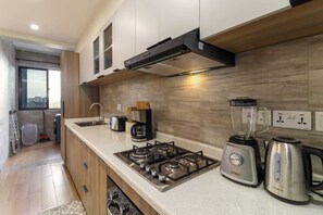 Classic Apartment, Balcony, City View | Private kitchen | Full-size fridge, microwave, oven, stovetop