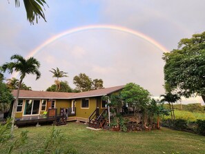 Ein Haus mit Veranda, Treppe und Garten mit verschiedenen Pflanzen.
