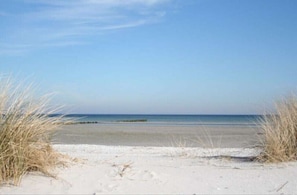 Ranta