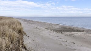 Una playa con arena y vegetación escasa.
