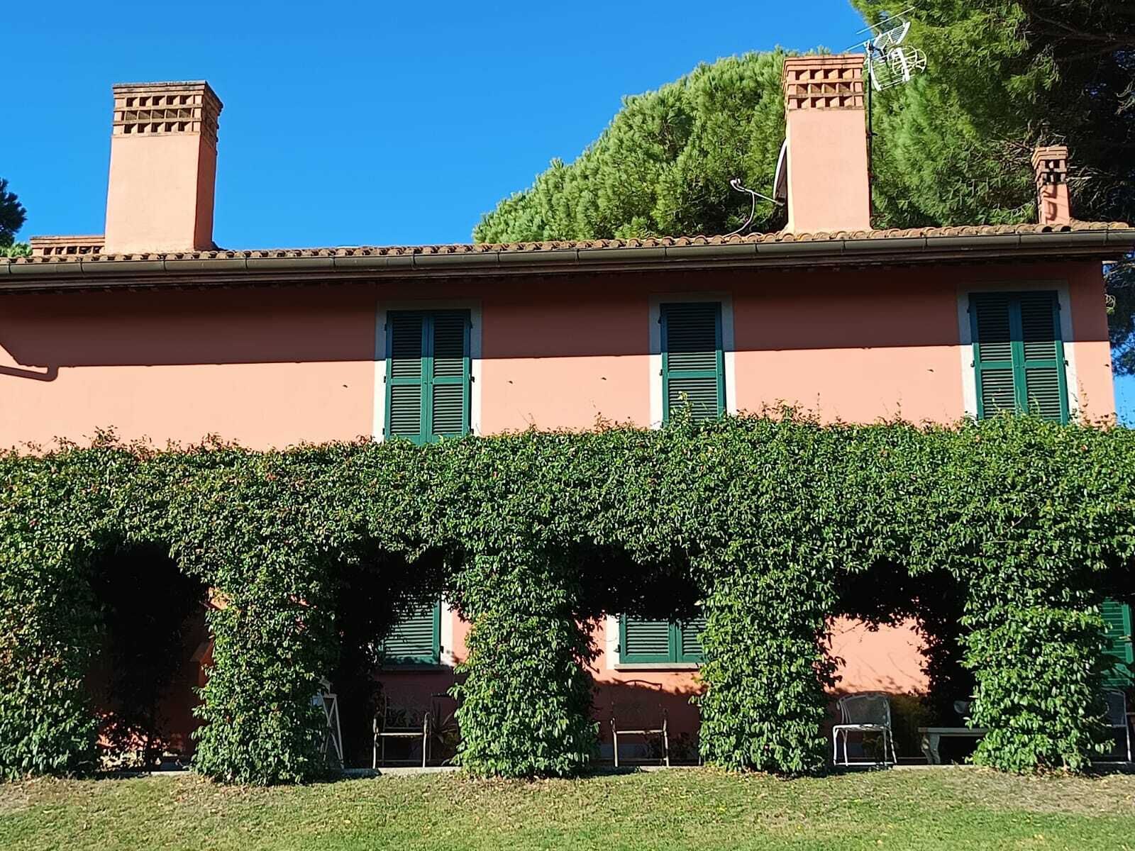 A building with a pink facade, green shutters, and a well-maintained hedge in front.