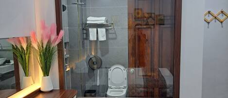Une salle de bain moderne avec une paroi de douche en verre, un meuble-lavabo en bois et des toilettes.