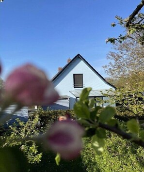 Property grounds - Holiday house in Wildberg with 1 bedroom (Wildberg)