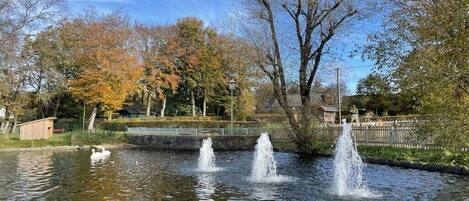 Área da propriedade