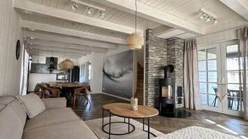 Smart-TV, Kamin